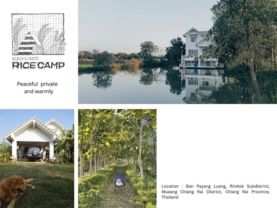 black & white rice camp แบล็กแอนด์ไวต์ไรซ์แคมป์ House in Thailand