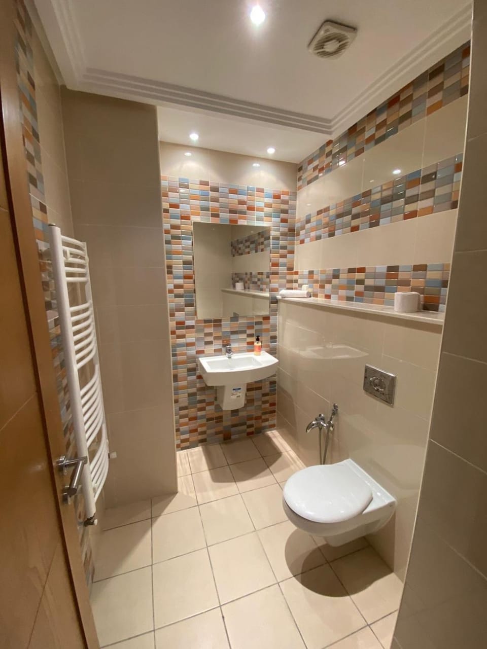 Erable II Apartment in Tunis Governorate, Tunisia