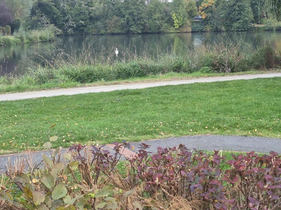 Lake view