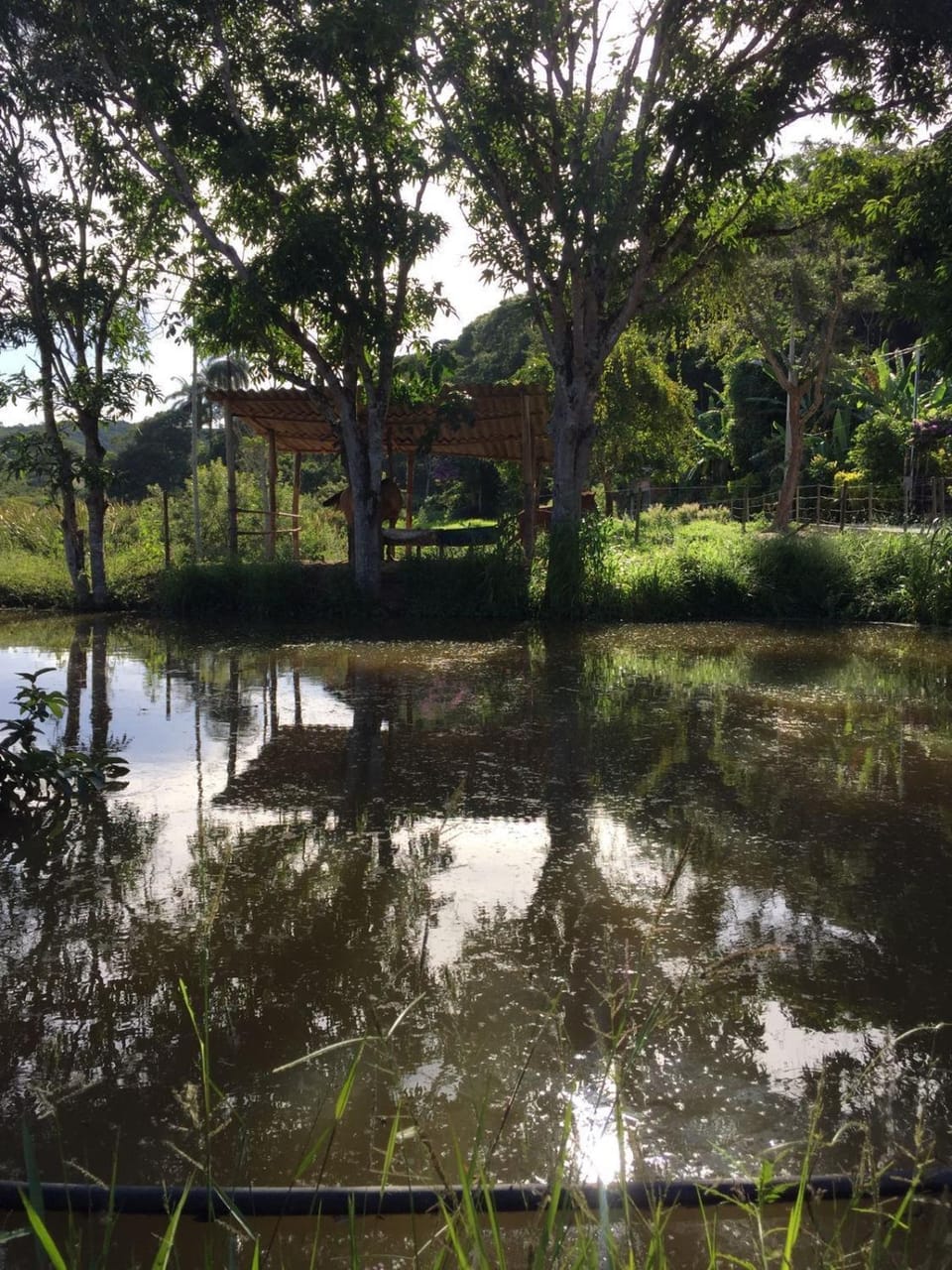 Sítio Família Silva House in State of Minas Gerais, Brazil