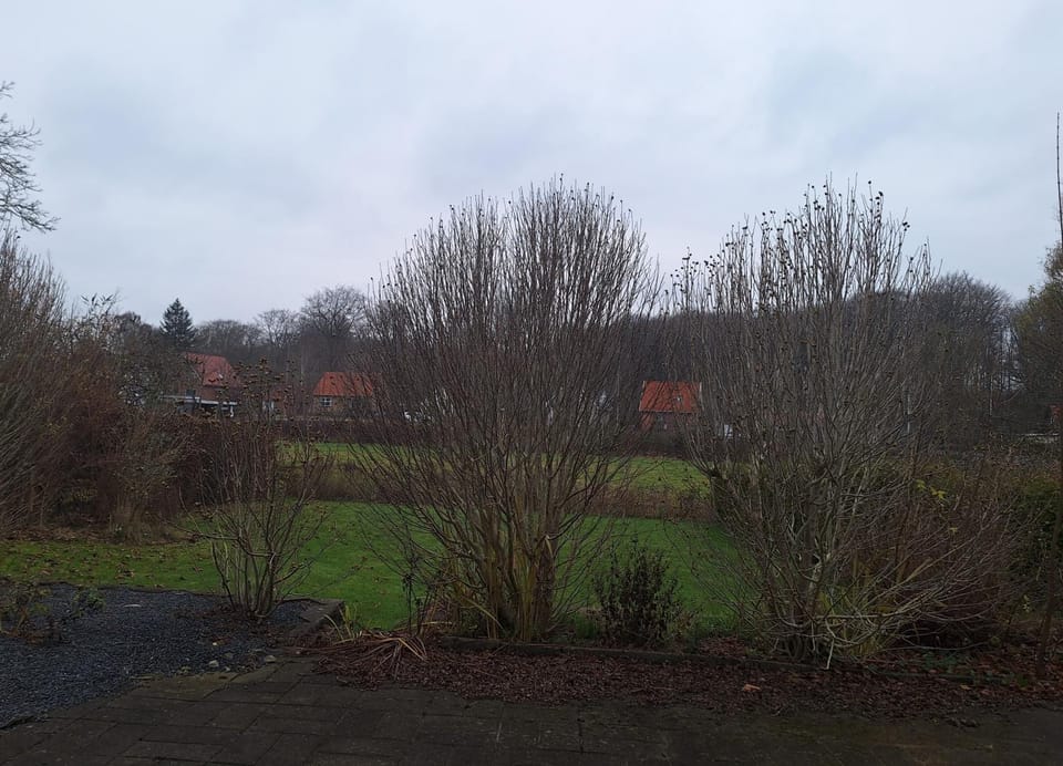 Odense Garden Apartment Apartment in Region of Southern Denmark
