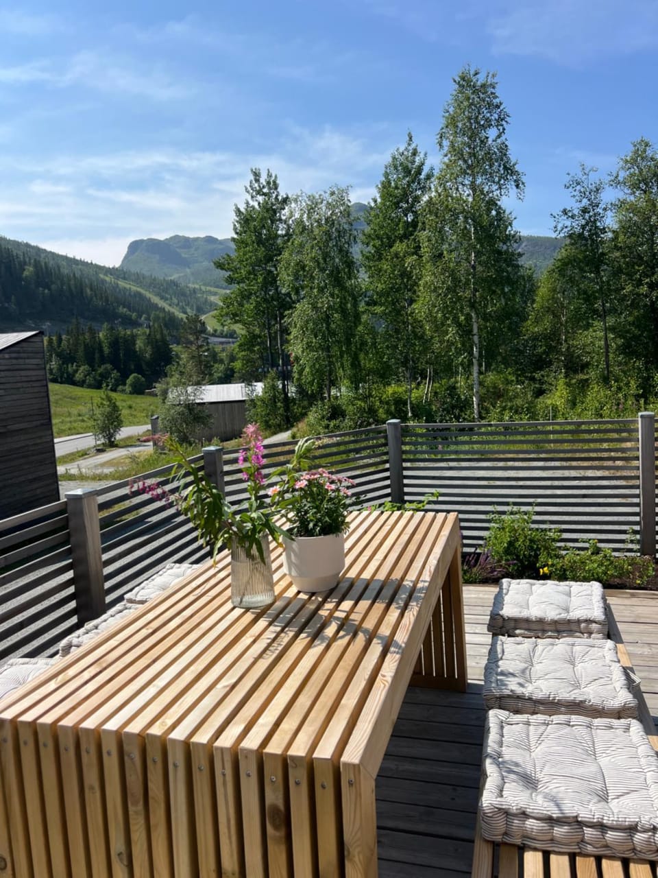 Charming and modern ski-in ski-out cottage Chalet in Viken, Norway