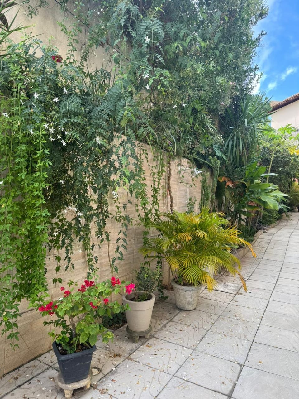 Garden view