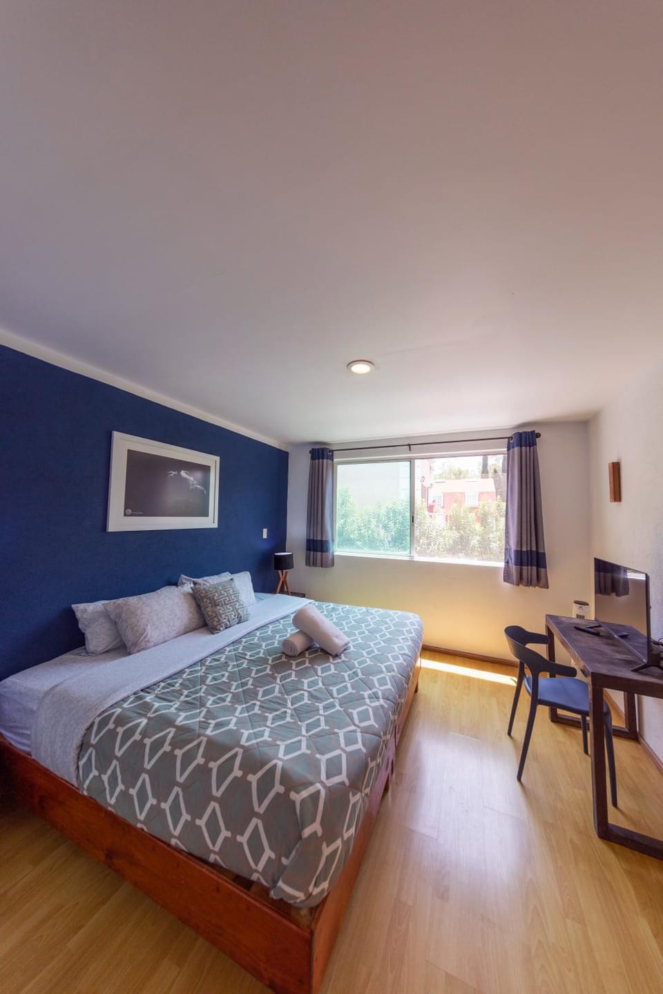 Photo of the whole room