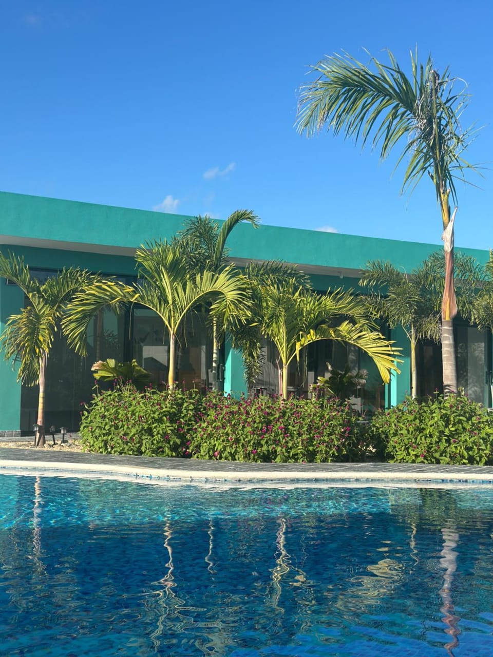 Swimming pool