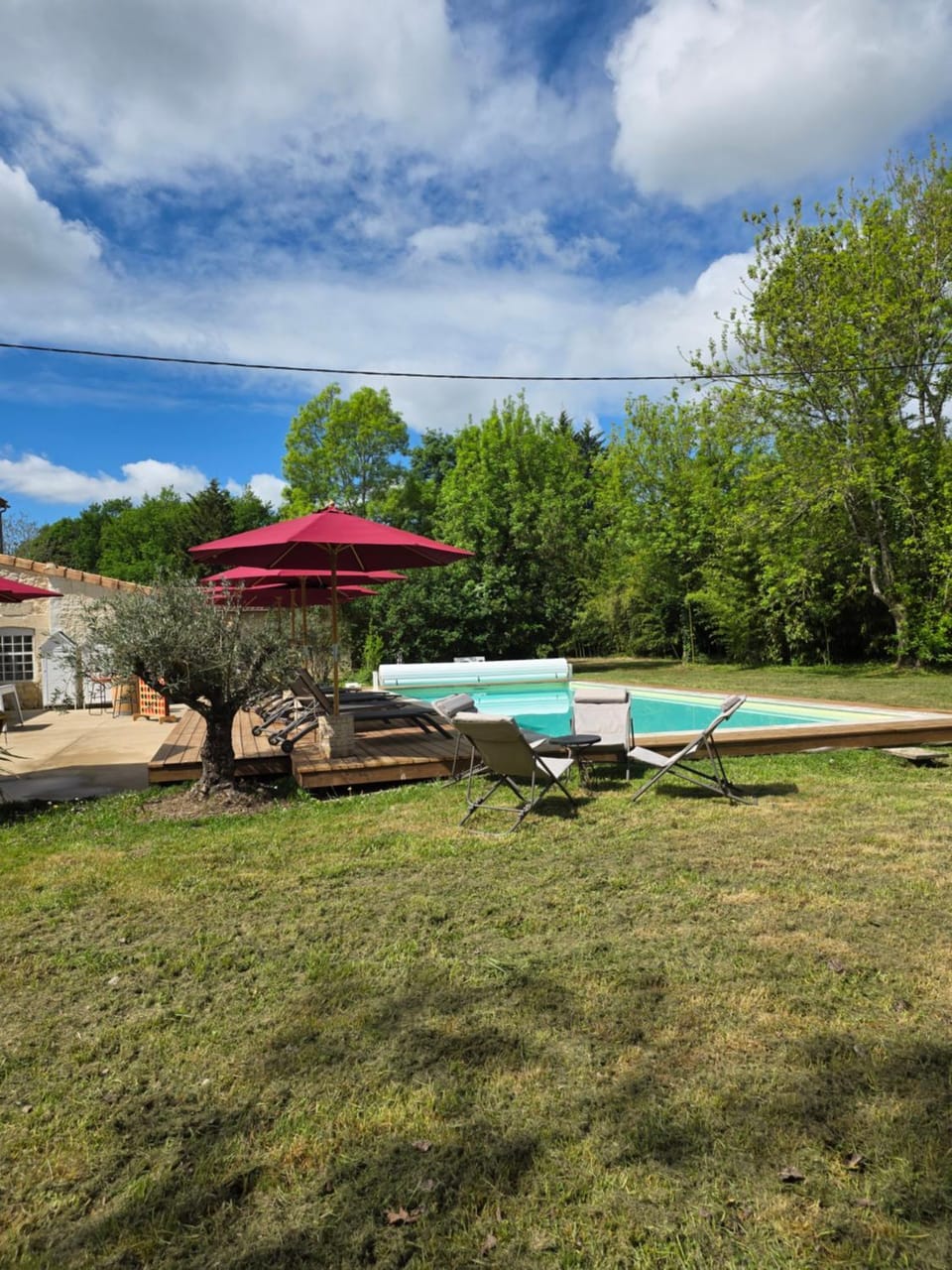 Natural landscape, Garden, Garden view, Pool view, Swimming pool, sunbed