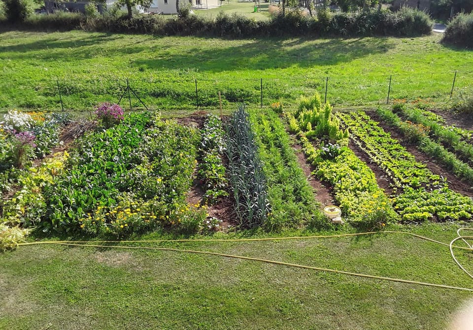 Garden view