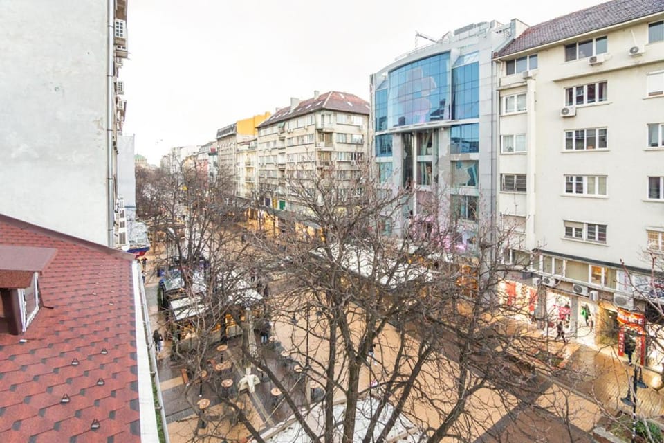 Day, Street view, Location