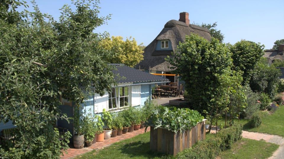 Property building, Garden