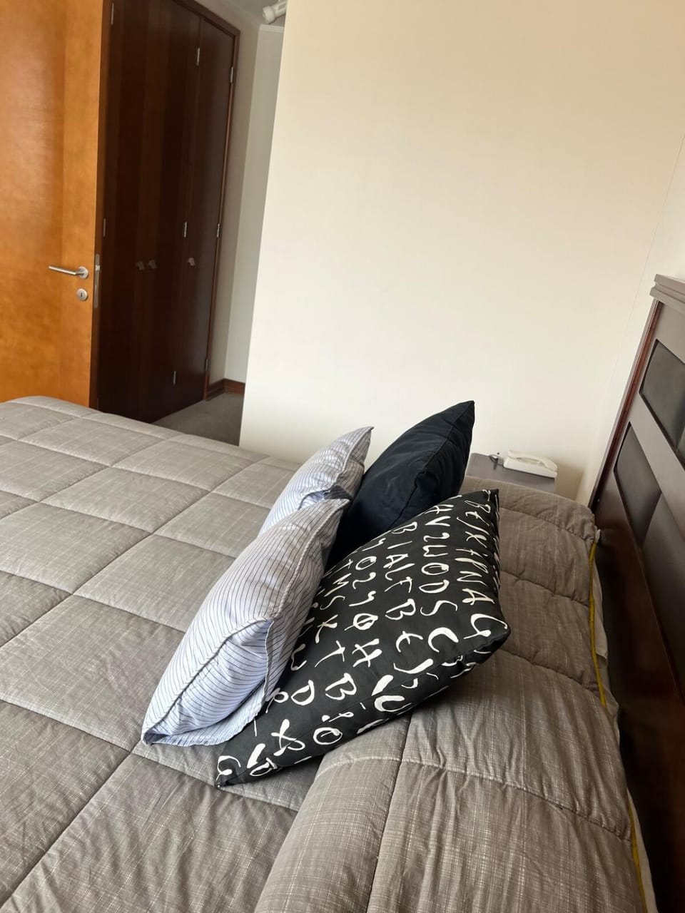 Viña del Mar Department Apartment in Vina del Mar