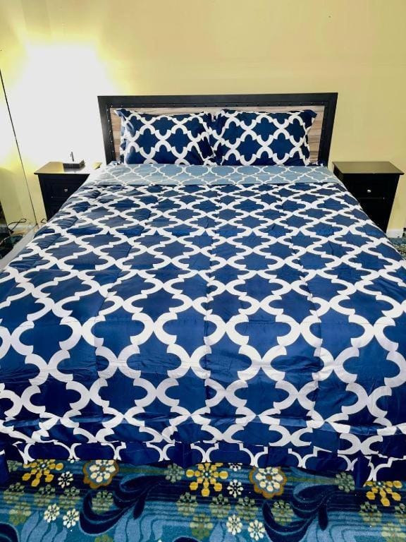 3 Bedrooms Huge Apt in LIC, very next to Manhattan Apartment in Roosevelt Island