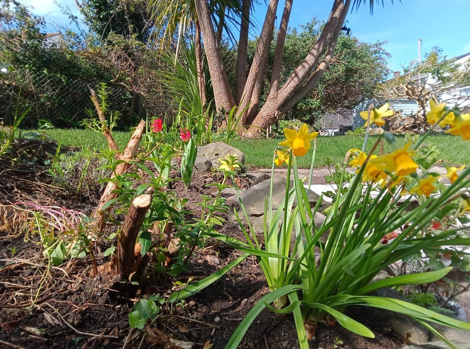 Parc an Creet Cottage House in Saint Ives