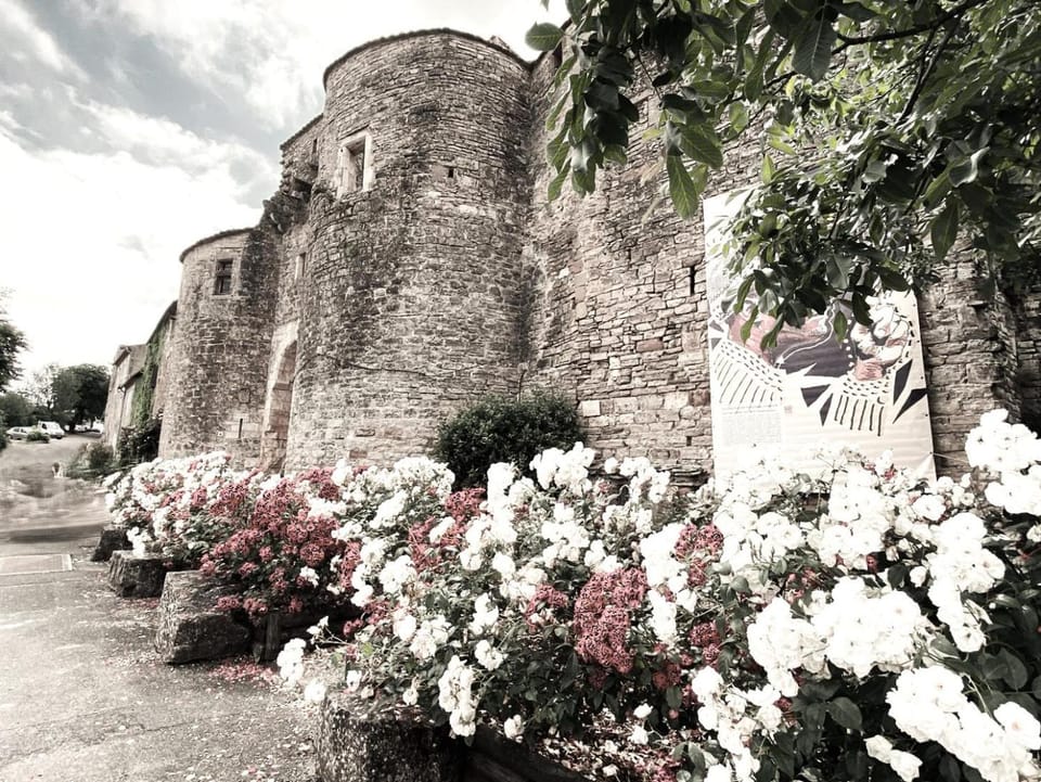 La Terrasse des Lices, WIFI, Clim House in Cordes-sur-Ciel