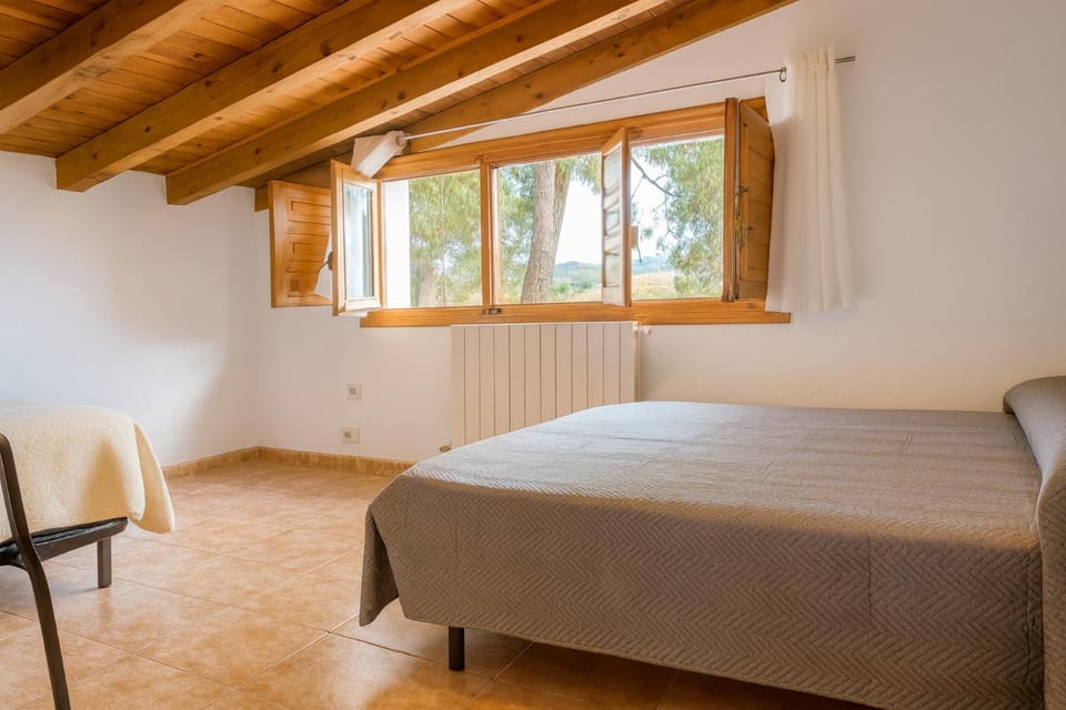 Bed, Photo of the whole room, Bedroom, Sunrise, towels