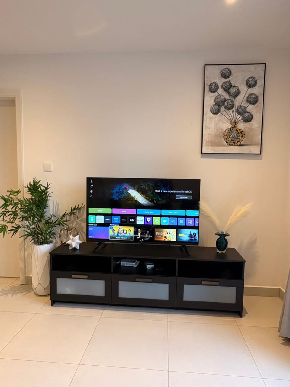 TV and multimedia