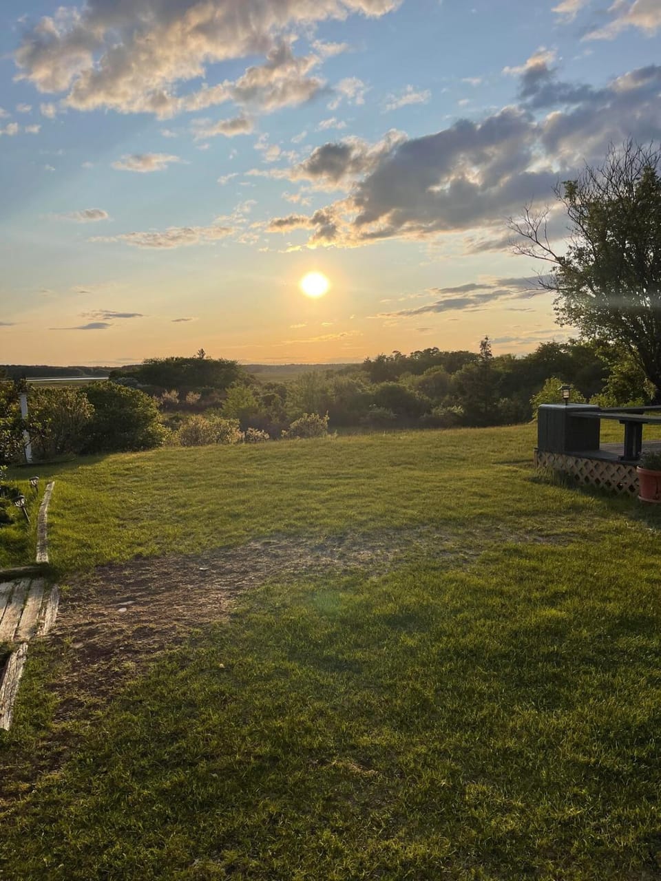 Dog-Friendly Cottage with Backyard & Beach Vibes! House in Seabrook