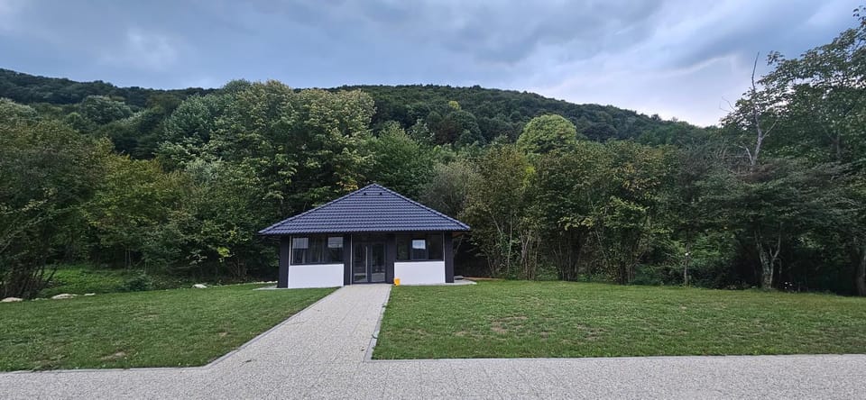 Golden Spa Villa Villa in Federation of Bosnia and Herzegovina