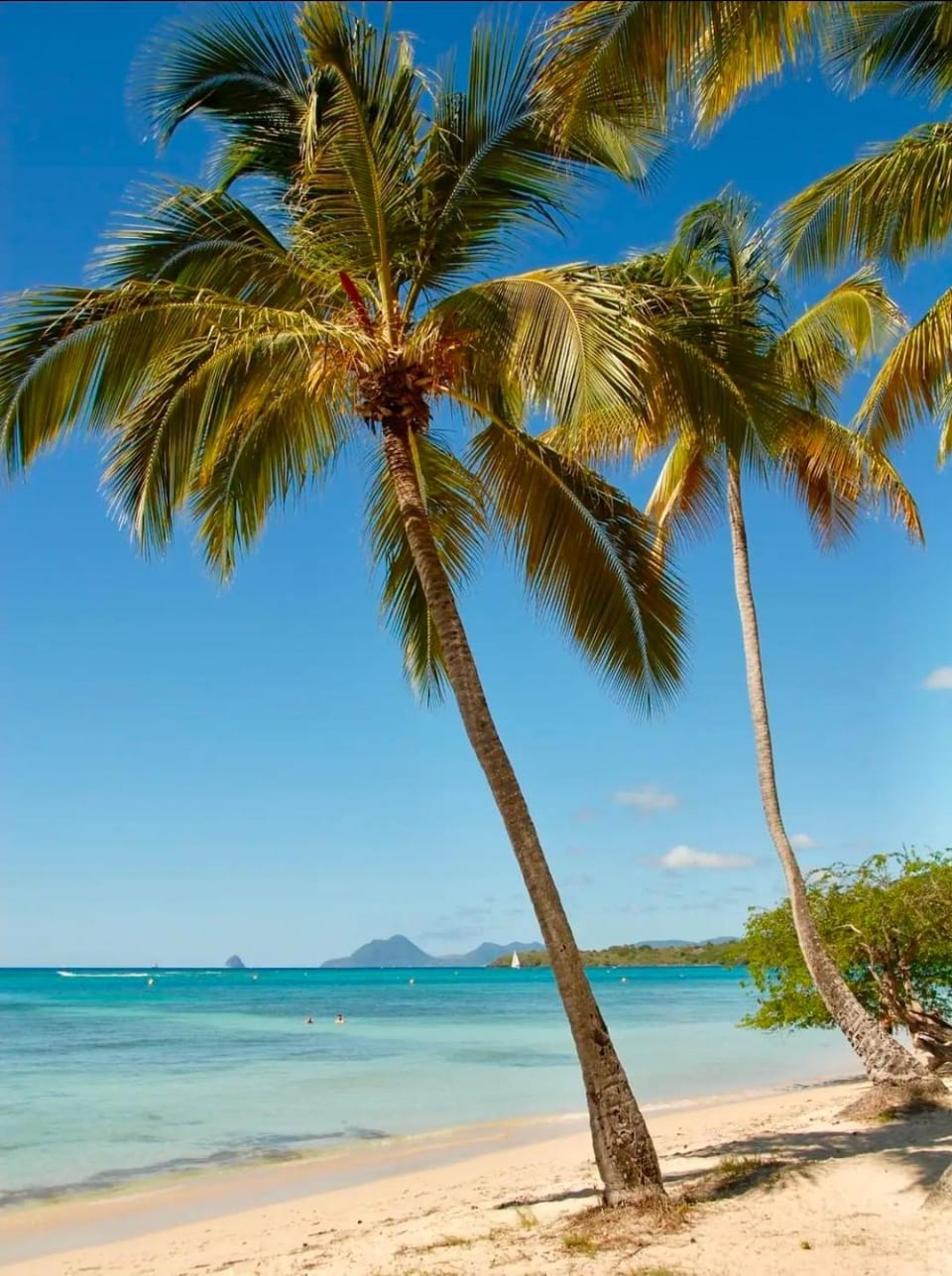 Nearby landmark, Beach