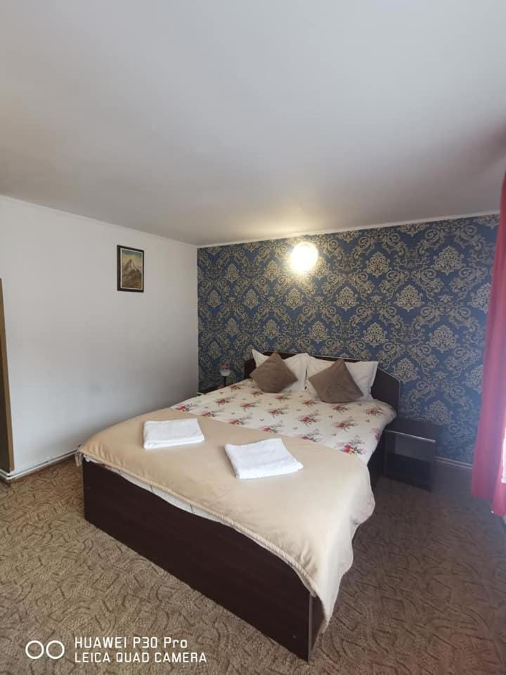 Casa Valea Cerbului Busteni House in Prahova, Romania