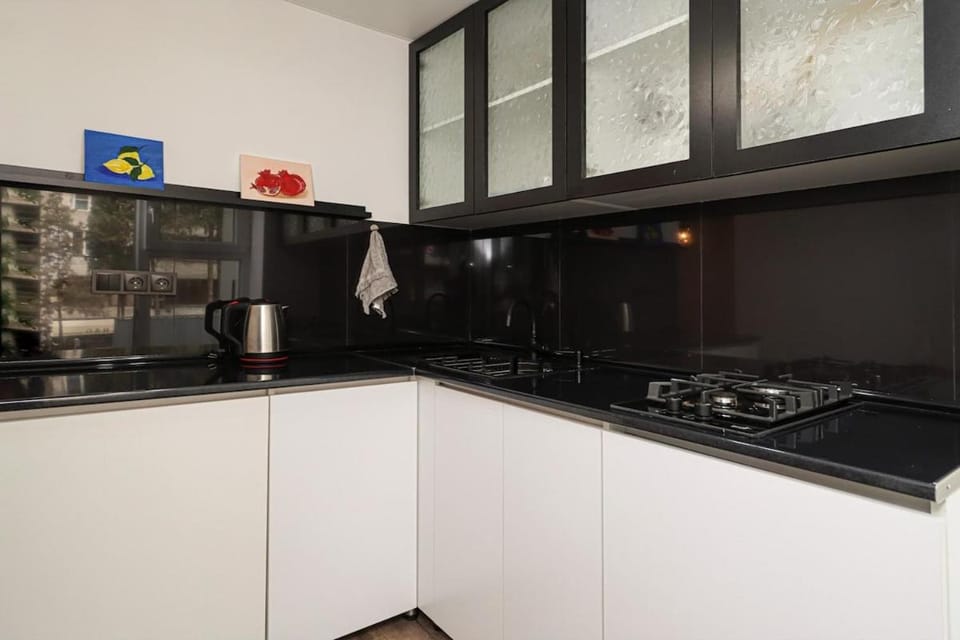 1BR Newest Unit in City Center Apartment in Tbilisi, Georgia