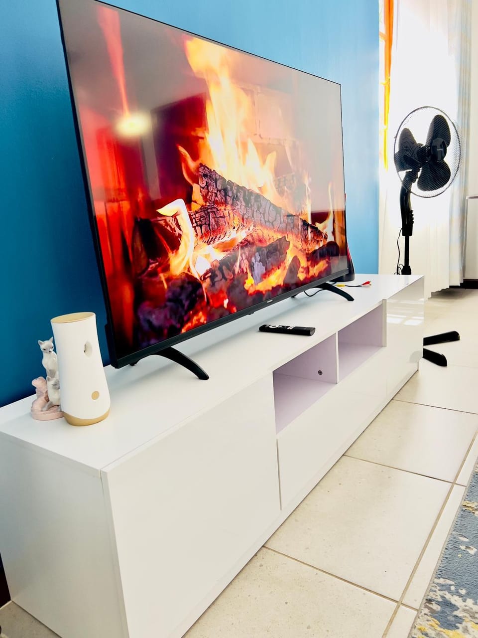 TV and multimedia