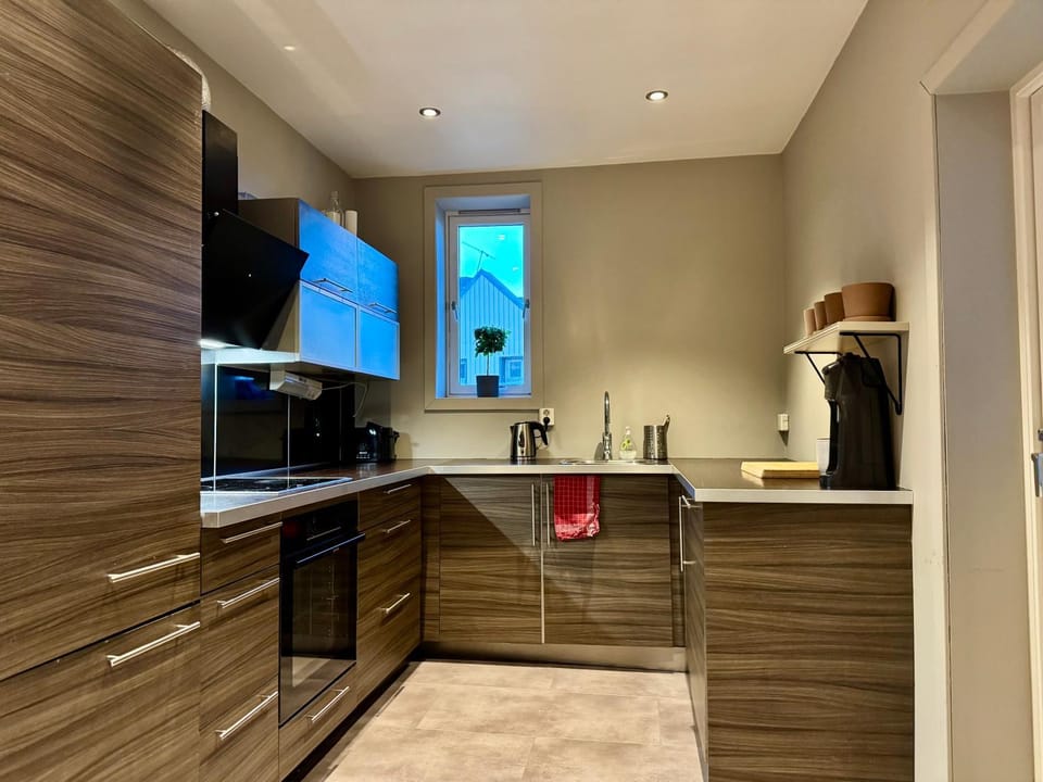 Kitchen or kitchenette, dishwasher, oven, stove