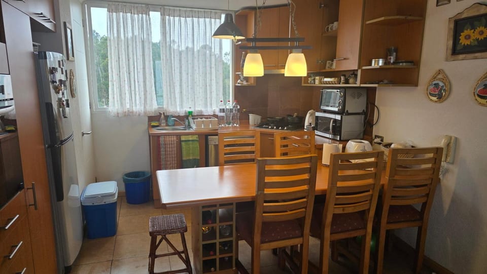Kitchen or kitchenette, Dining area, oven