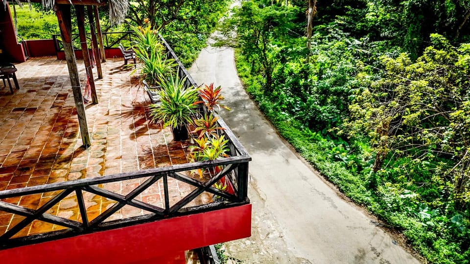 Hostal Luz Del Valle Bed and Breakfast in Samaná Province
