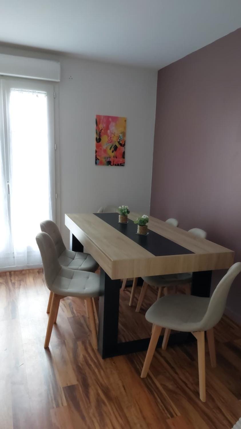 Magique 3p, à Disneyland avec terrasse Apartment in Chessy