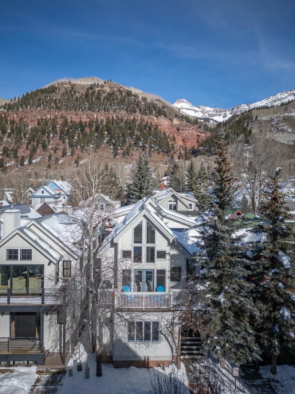445 West Depot - Elevated Telluride Comfort Villa in Telluride