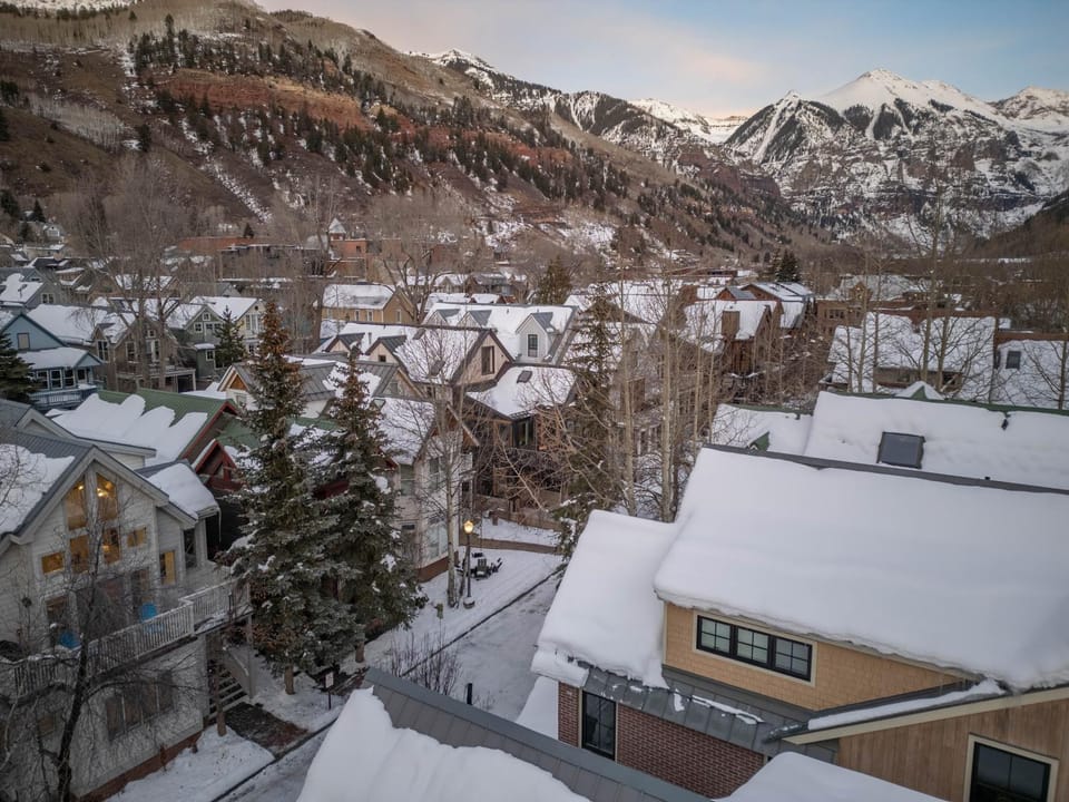 445 West Depot - Elevated Telluride Comfort Villa in Telluride