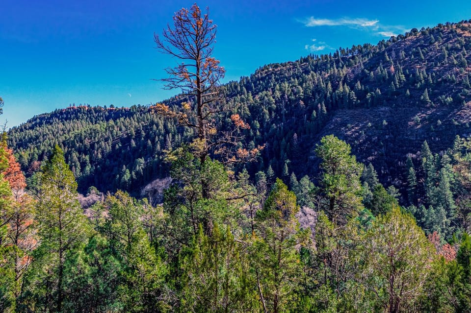 Tiny Home with a Huge View Luxury tent in Ruidoso