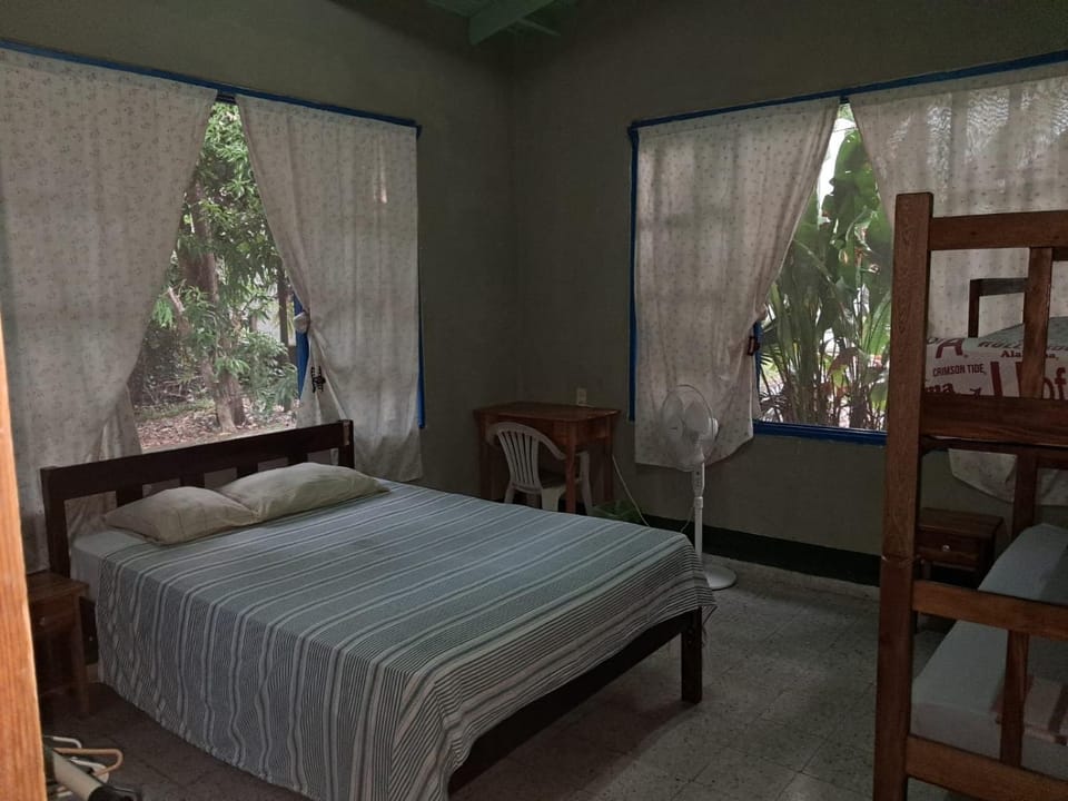 Bed, Photo of the whole room