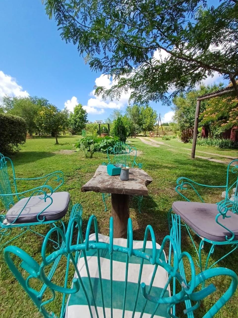 Spring, Day, Natural landscape, Garden, Garden view