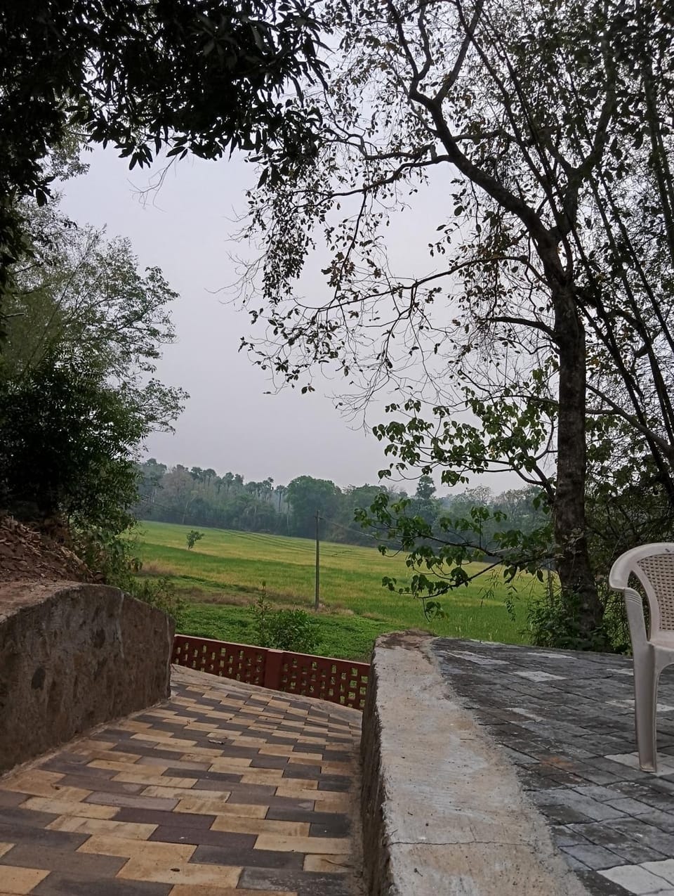 The Cool Cottage, Pool Extra, at gaya3farms Apartment in Kerala