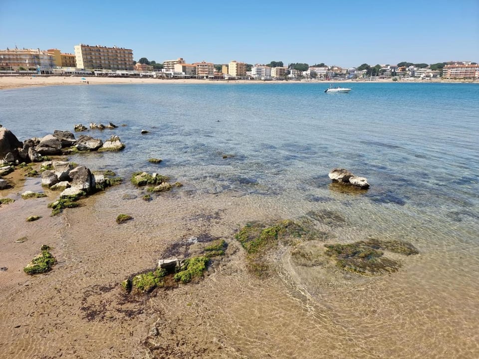 Estudio en L'Escala a 300m de la playa, vista a la piscina común - HISP-236-131 Apartment in L'Escala
