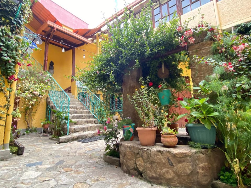 Patio, Lobby or reception, Garden view