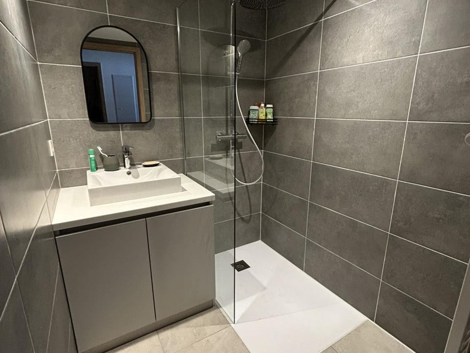 Appartement de standing 2 chambres, Wi-Fi, animaux admis, parking - FR-1-836-56 Apartment in Arâches-la-Frasse