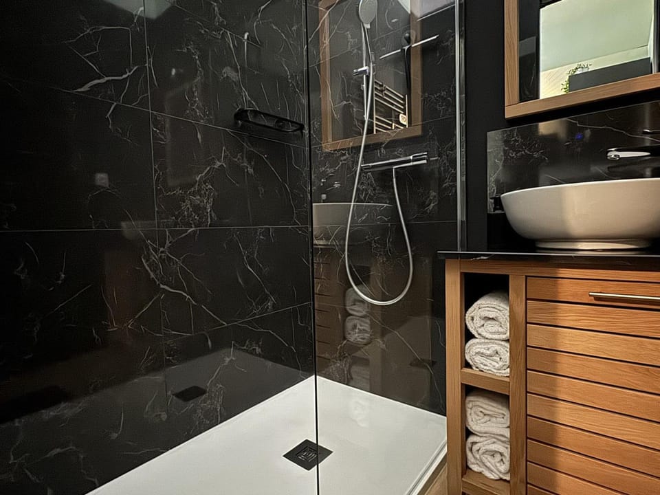 Studio de charme rénové en centre-ville, animaux admis - FR-1-555-123 Apartment in Aix-les-Bains