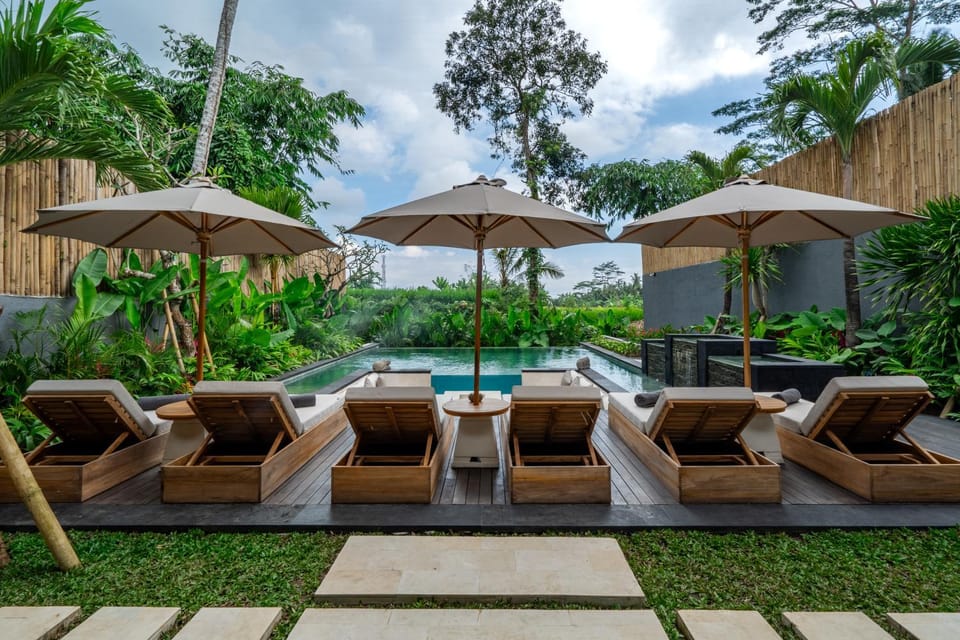 Day, Garden, Garden view, Pool view, Swimming pool, sunbed