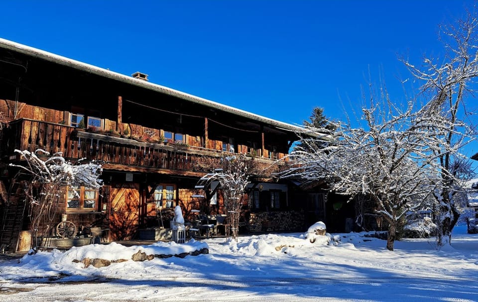 Property building, Winter, Garden