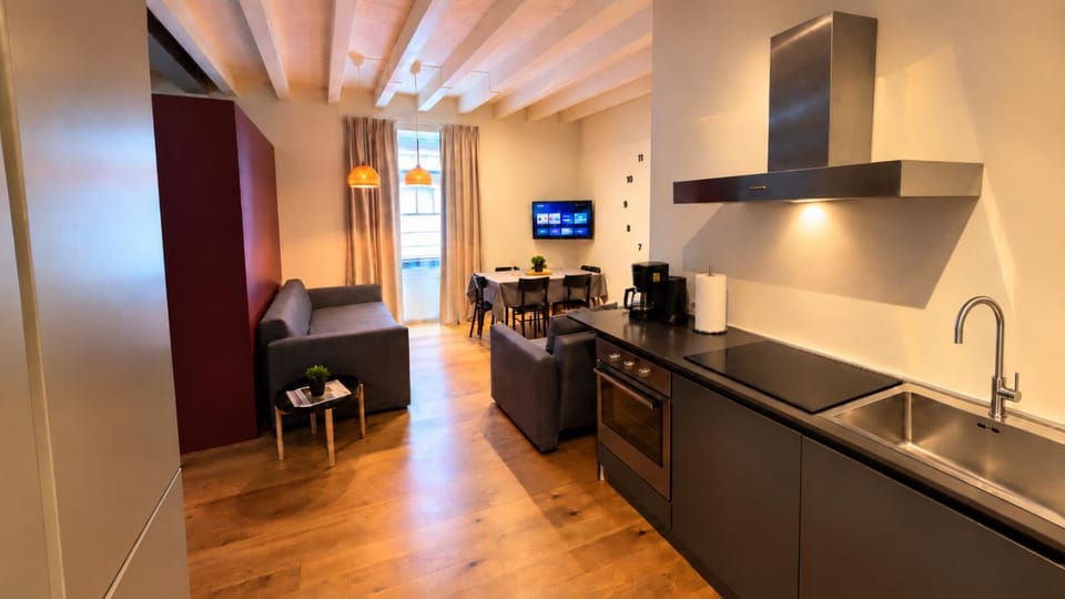 TV and multimedia, Kitchen or kitchenette, dishwasher, minibar, oven, pet friendly, stove