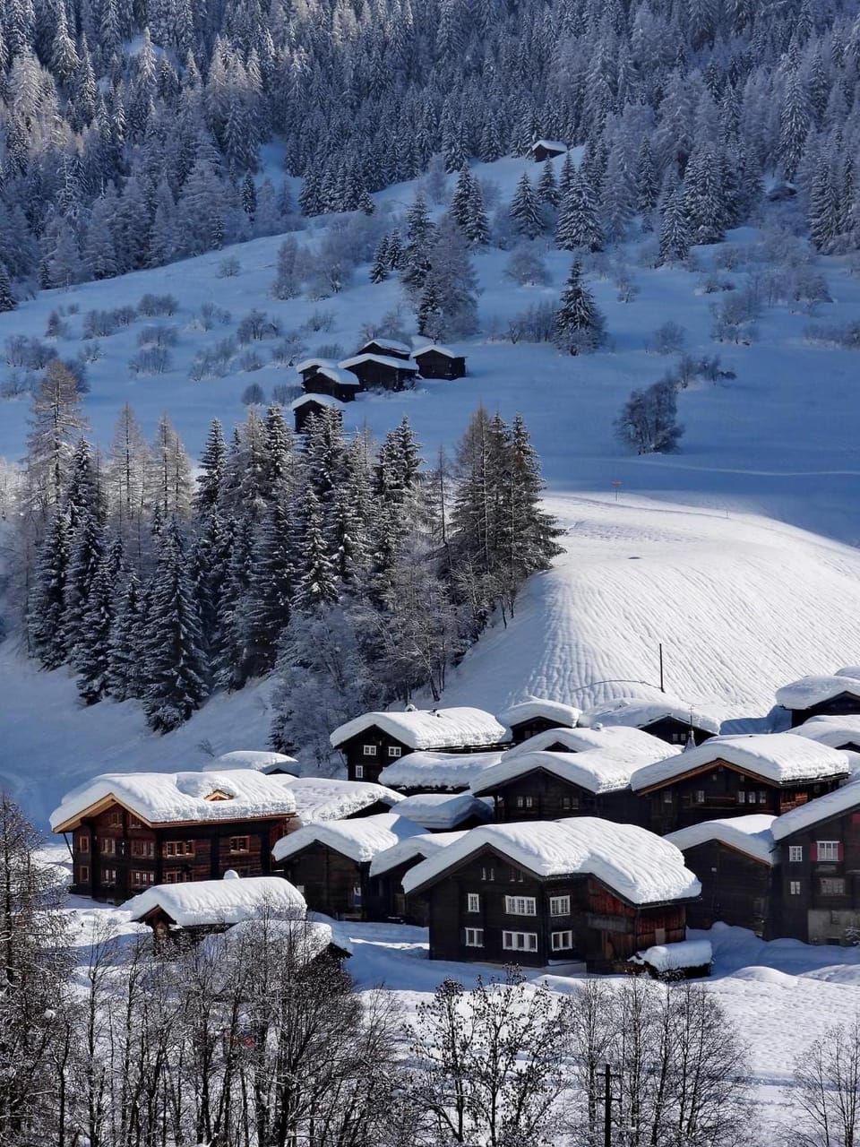 Natural landscape, Winter