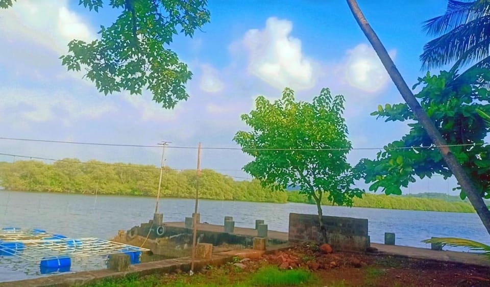 Day, Natural landscape, River view