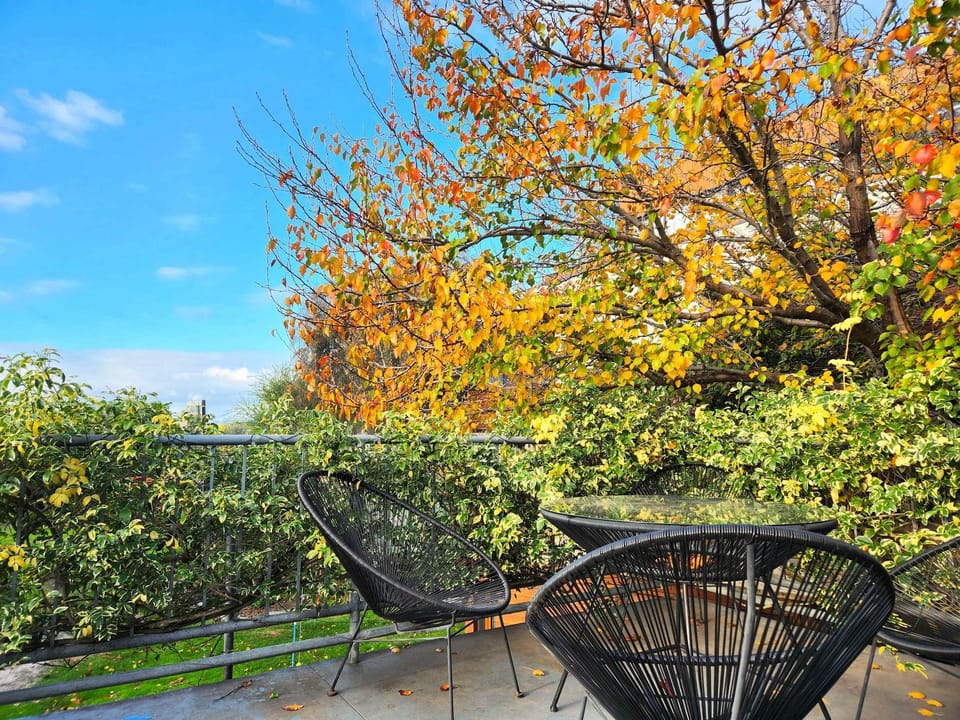 Patio, Garden