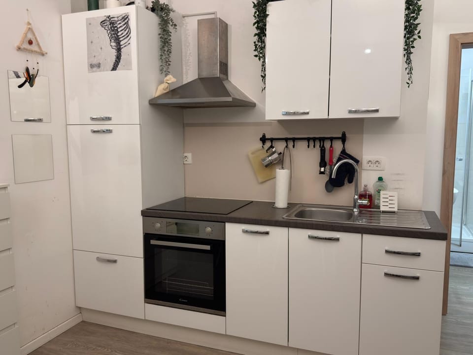 Kitchen or kitchenette, oven, stove