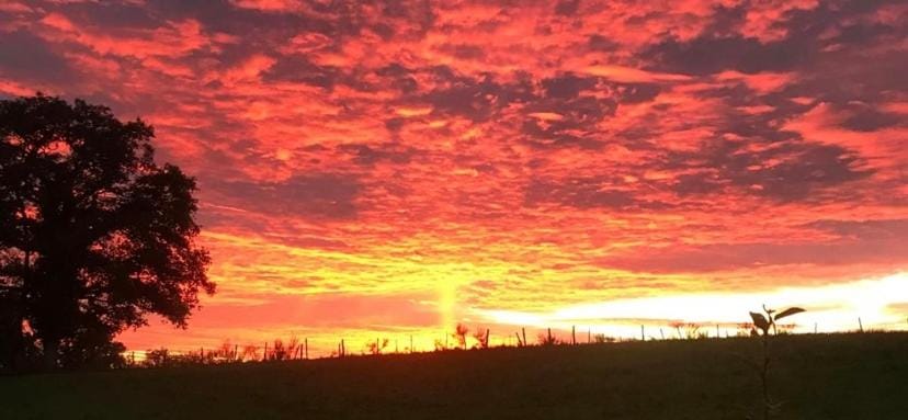 Les Pipistrelles de Planechaud Bed and Breakfast in Nouvelle-Aquitaine