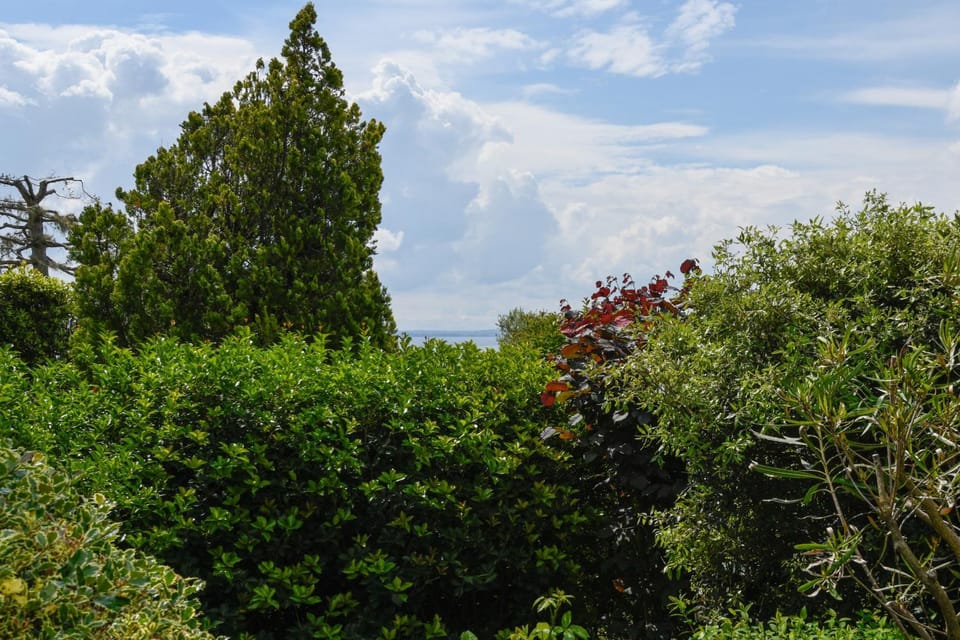 View (from property/room)