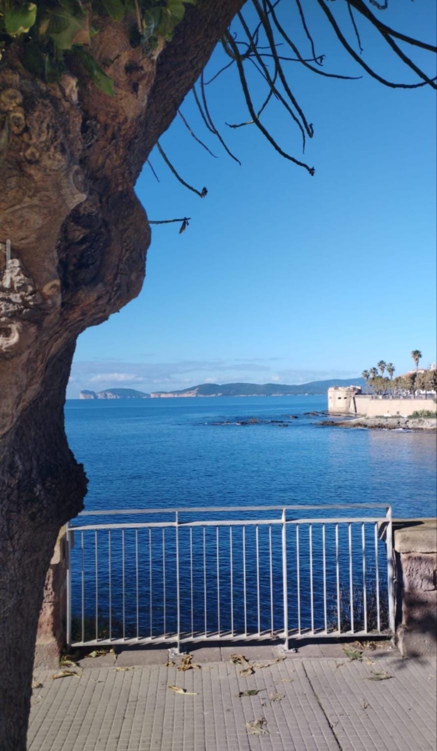 Nearby landmark