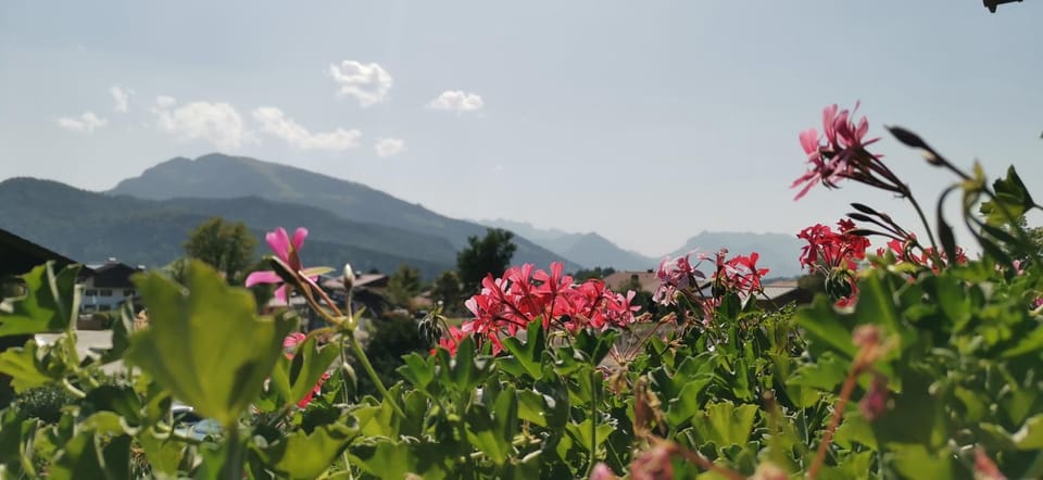 Natural landscape